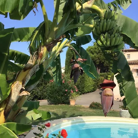 别墅 芙蓉别墅 昂蒂布