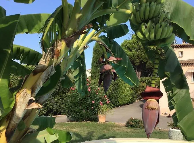 Villa Hibiscus Antibes